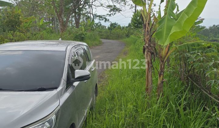 Cheap Land 5.6 Ha 600K/M Singosari Car Access Cheap Land 5.6 Ha 600K/M Singosari Car Access