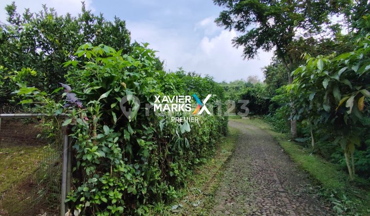 Murah Tanah 750Rb Luas 3400 Batu Akses Mobil View Bagus