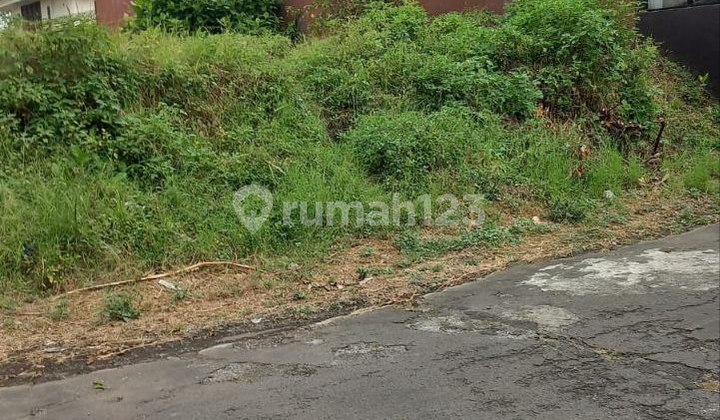 Murah Bukit Dieng 5Jutaan Luas 450 Harga Miring Murah Bukit Dieng 5Jutaan Luas 450 Harga Miring