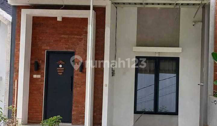 Murah The Oz Tidar 50/84 Elite Modern Harga Miring