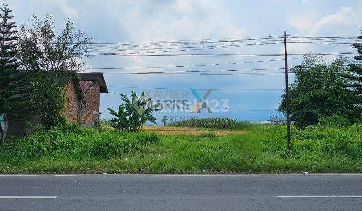 Murah Tanah 1 Jt-an Raya Pakis Luas 5000 Dekat Exit Tol 1