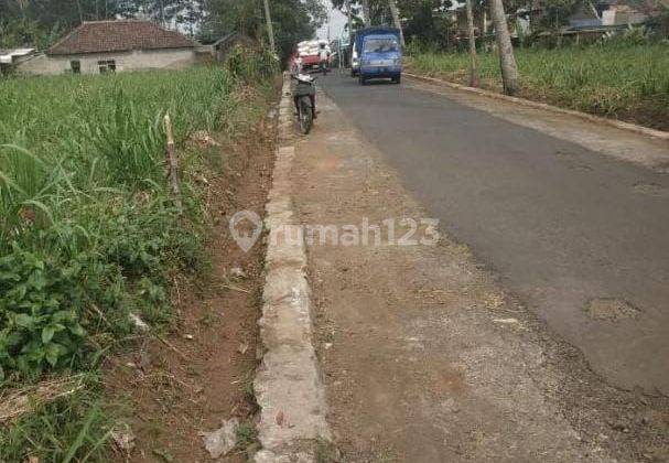 MURAH TANAH 2,5 Ha KARANGPLOSO Cocok Untuk Perumahan  1