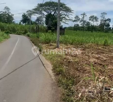 Karanglo Land Cheap 2000 Truck Access Near Toll Karanglo Land Cheap 2000 Truck Access Near Toll