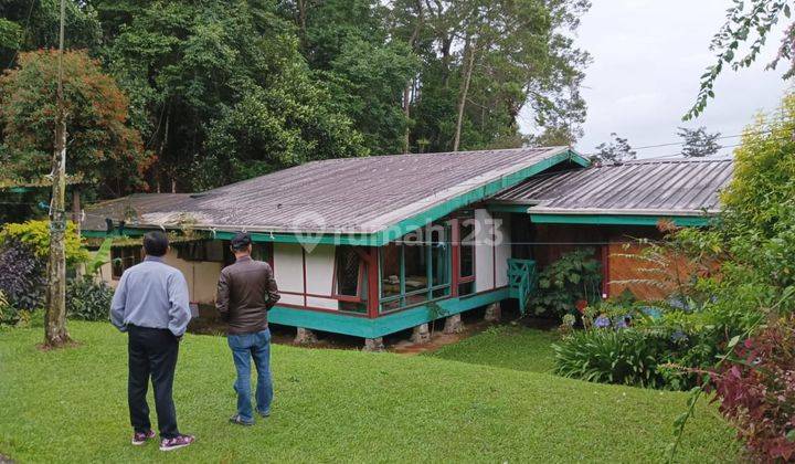 Villa Ciloto Puncak Luas, Jl Raya Puncak Kp Cinyawar Ciloto Jawa Barat 2