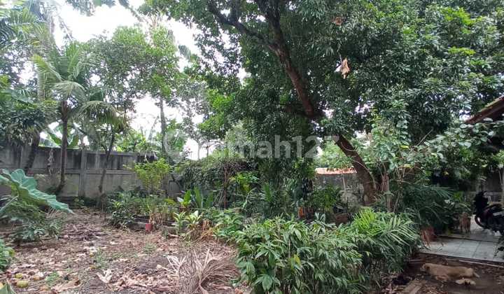 Kavling Siap Bangun Di Jl Mandor Kecil Pondok Aren Tangerang Selatan