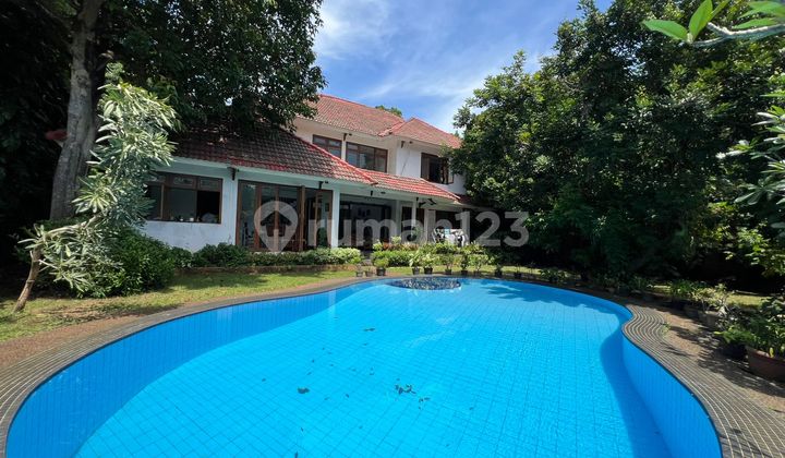 Rumah Bagus.halaman Luas di Jl Pejaten Barat Jakarta Selatan.