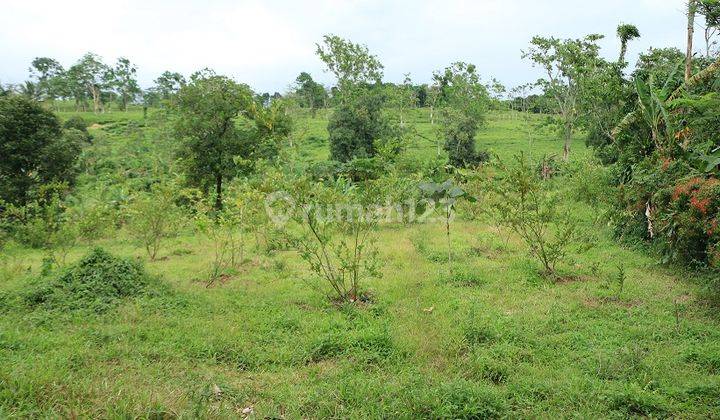 Lahan Tepi Jalan Raya, Cocok Untuk Gudang Atau Cluster 2