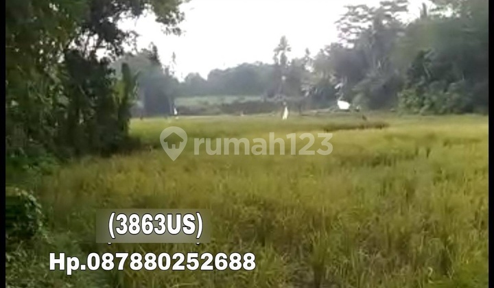  3863us Tanah Sertifikat Hak Milik Curug Serang  4