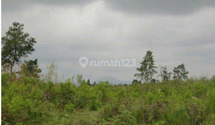 5111ef Tanah Siborong Borong Tapanuli Utara Sumatera Utara 5
