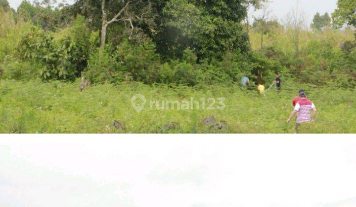 5111ef Tanah Siborong Borong Tapanuli Utara Sumatera Utara 8