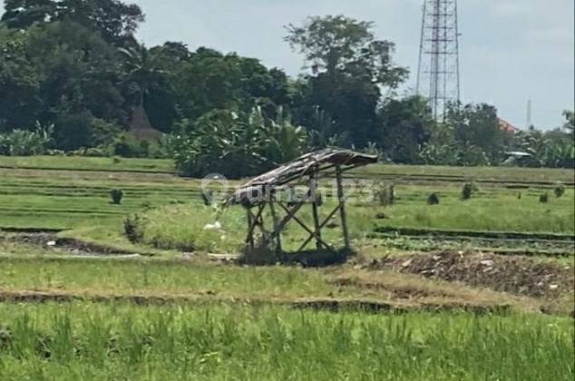 5129ef Tanah SHM Beraban Kediri Tabanan Bali  2