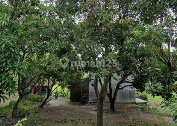 5146ef Tanah 4.900 M2 Jatiwangi Majalengka Jawa Barat 6