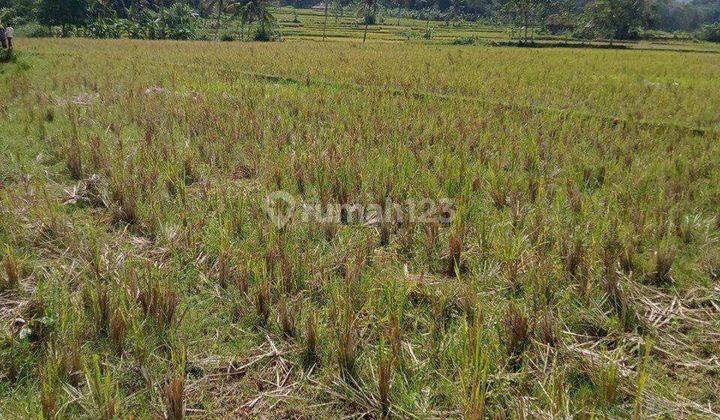 5168ef Tanah di Selaawi, Garut, Jawa Barat 5.600 m² 4