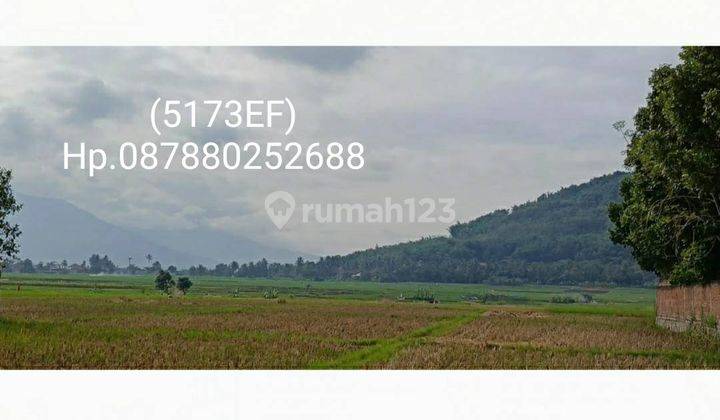 5173ef Tanah SHM Balubur Limbangan, Garut, Jawa Barat 1