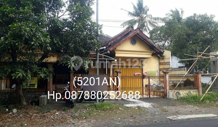 5201an Rumah Unfurnished di Arjasa, Jember, Jawa Timur 1