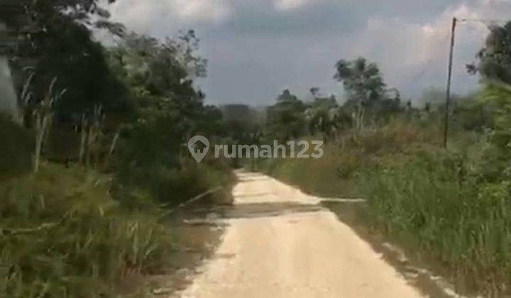 5203ef Tanah SHM di Pematang Gajah, Muaro Jambi, Jambi 3