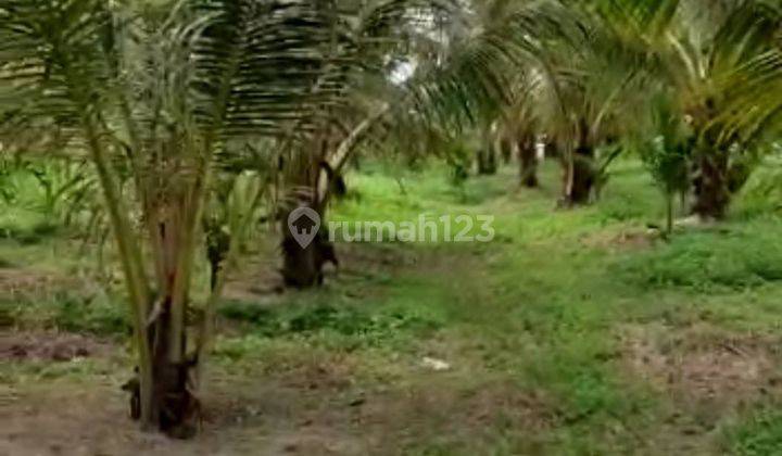 5203ef Tanah SHM di Pematang Gajah, Muaro Jambi, Jambi 6