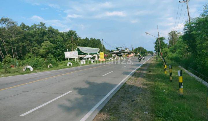 5207ef Ruang usaha di Gending, Probolinggo, Jawa Timur 3