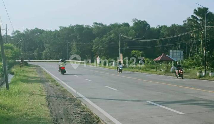 5207ef Ruang usaha di Gending, Probolinggo, Jawa Timur 6
