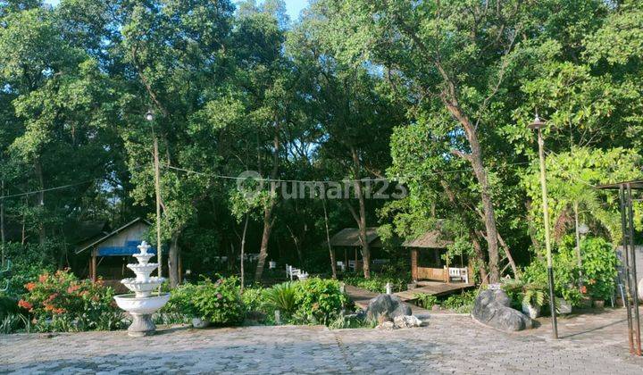 5207ef Ruang usaha di Gending, Probolinggo, Jawa Timur 10