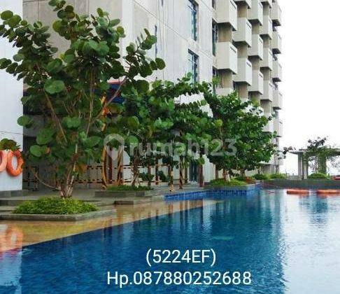 5224ef Apartement Apartemen Tree Park Furnished 1