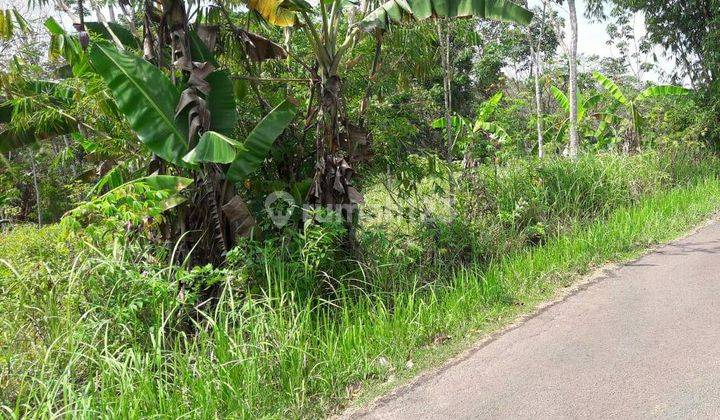5229us Tanah di Rangkasbitung, Lebak, Banten  5