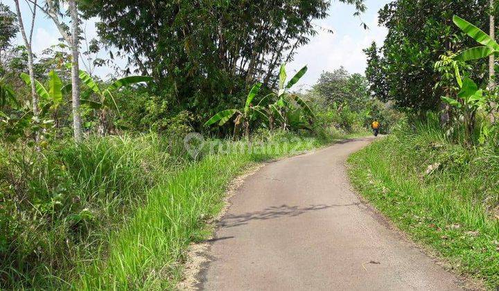 5229us Tanah di Rangkasbitung, Lebak, Banten  6
