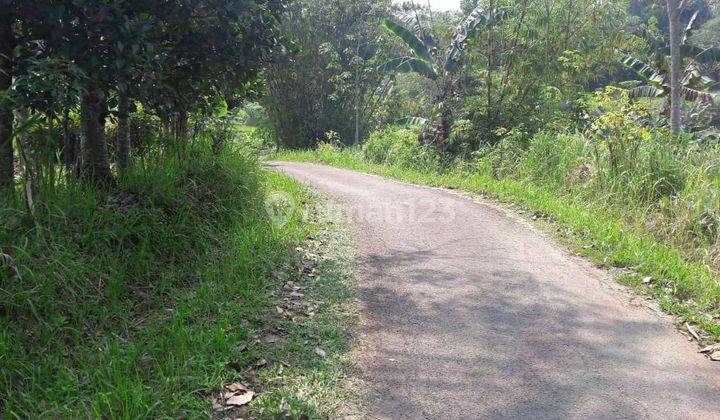 5229us Tanah di Rangkasbitung, Lebak, Banten  7