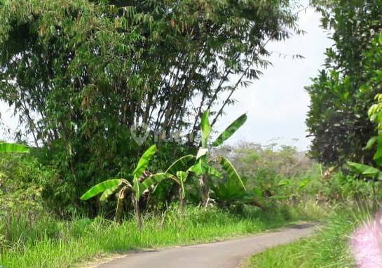 5229us Tanah di Rangkasbitung, Lebak, Banten  8