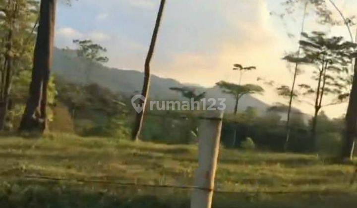5232ef Tanah di Padarincang, Serang, Banten SHM 4