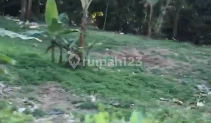 5232ef Tanah di Padarincang, Serang, Banten SHM 3