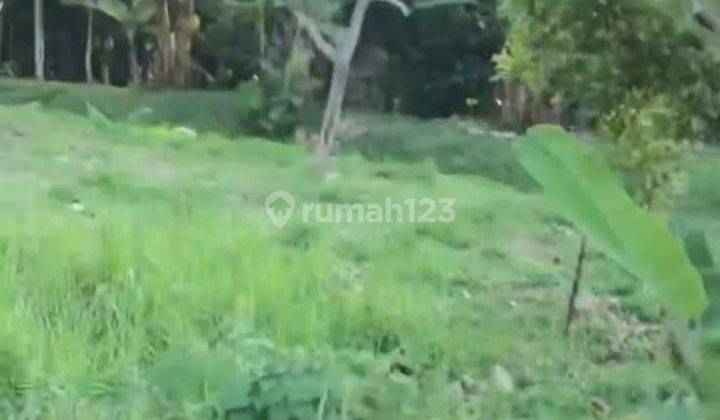 5232ef Tanah di Padarincang, Serang, Banten SHM 6