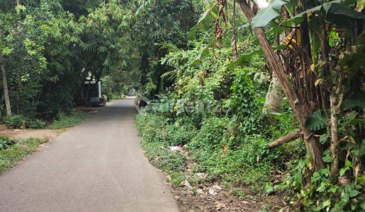 5254ef Tanah di Pujer, Bondowoso, Jawa Timur SHM 3