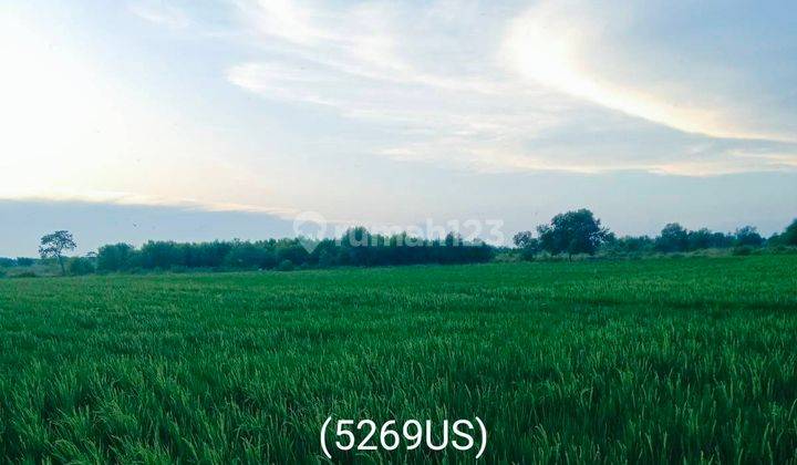 5269us Tanah di Pontang, Serang, Banten SHM 