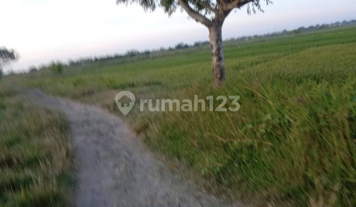 5269us Tanah di Pontang, Serang, Banten SHM  4