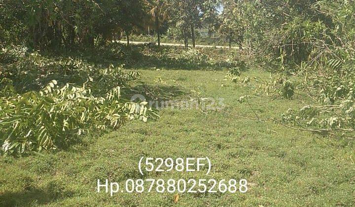5298ef Tanah di Alafan, Simeulue, Aceh 1.695 m² 1