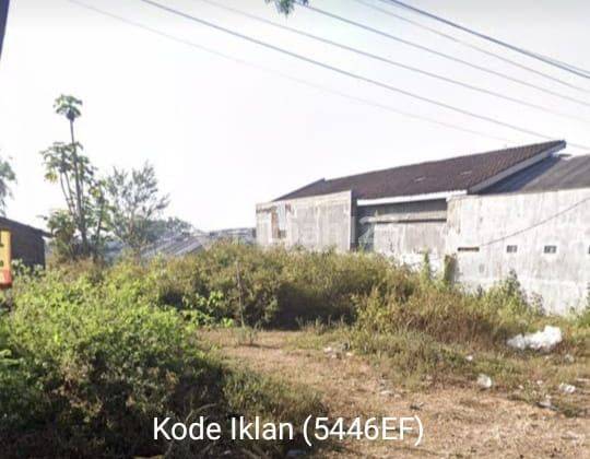 5446ef Tanah di Bondowoso, Jawa Timur, SHM 1