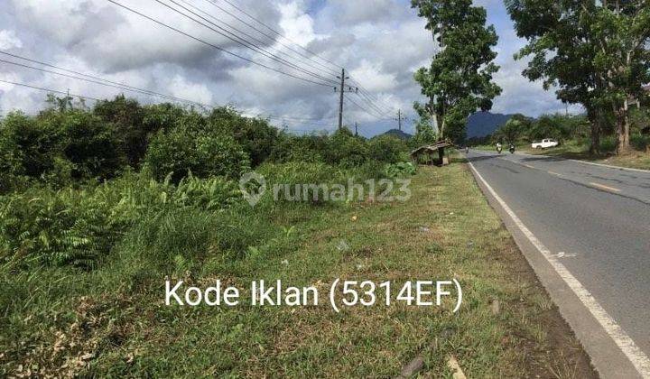 5314ef Tanah SHM di Anjongan, Mempawah, Kalimantan Barat  1