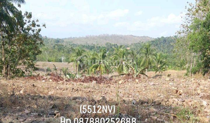 5512nv Tanah Di Jeruklegi, Cilacap, Jawa Tengah 1