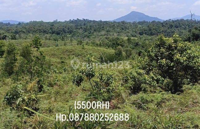 5500rh Tanah di Sadaniang, Mempawah, Kalimantan Barat, SHM 2