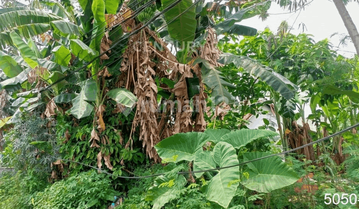 Dijual Kavling Murah Di Pamulang Depan Kantor Walikota TangSel