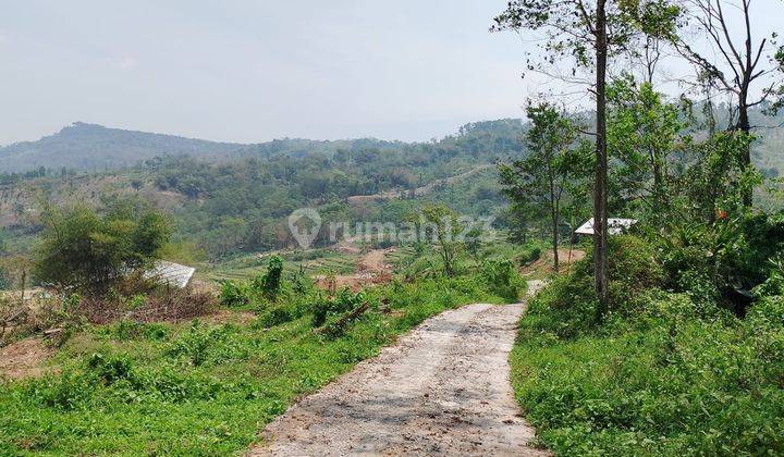 Dijual Cepat Tanah di Desa Sukamakmur, Jonggol, Kabupaten Bogor 1