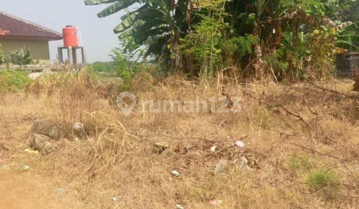 Tanah/kavling Di Rorotan Kec. Cilincing Jak Ut