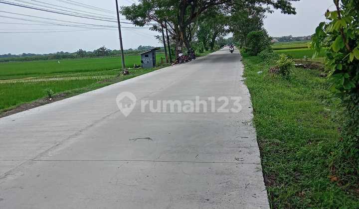 Tanah Industri Murah di Kesamben - Jombang