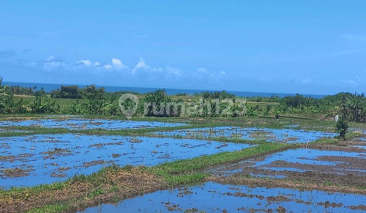 Super Beautiful Land and Special View Super Beautiful Land and Special View