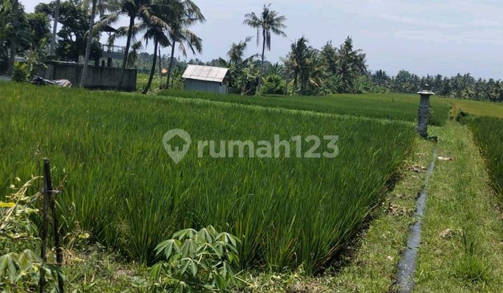 Tanah Indah dengan Pemandangan Laut Tanah Indah dengan Pemandangan Laut