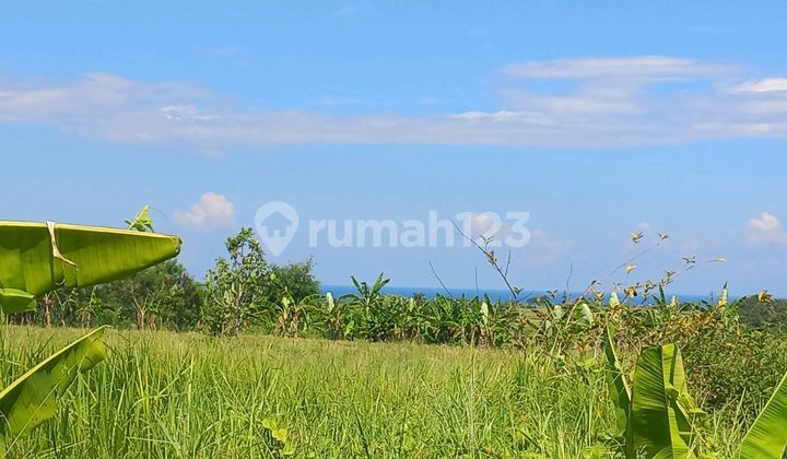 Absoulutly Beach Front Land