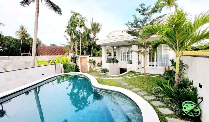 Beautiful Villa With Rice Field View