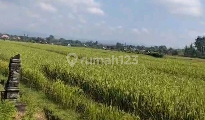 Beautiful Land With Sea View Beautiful Land With Sea View