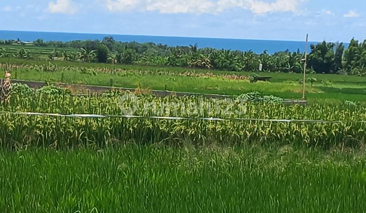 Beautiful Land With Amazing View